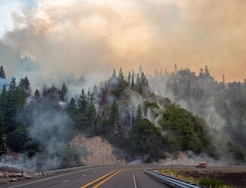 2019 Η.Π.Α.: Καταστροφικές Πυρκαγιές στην Καλιφόρνια – Οι αρχές Κοινοτήτων και Πόλεων επιλύουν με Διαμεσολάβηση τις διαφορές τους με την εταιρία παροχής ρεύματος PG&E